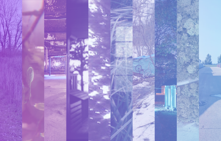 20th Annual Members Screening