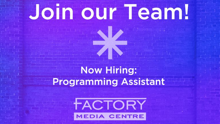 Job Opportunity: Programming Assistant
